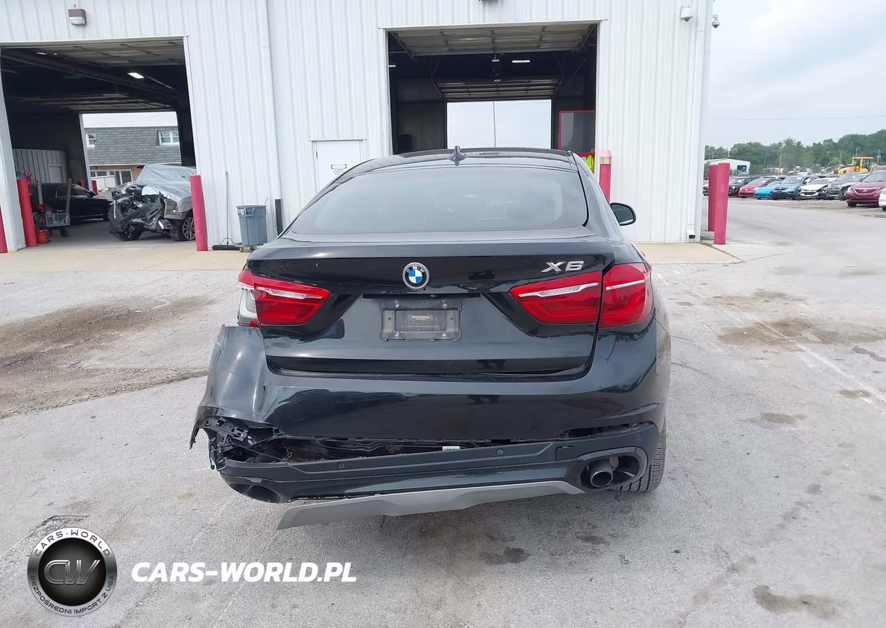 2016 BMW X6 xDrive35I VIN:5UXKU2C59G0N82219 - 16