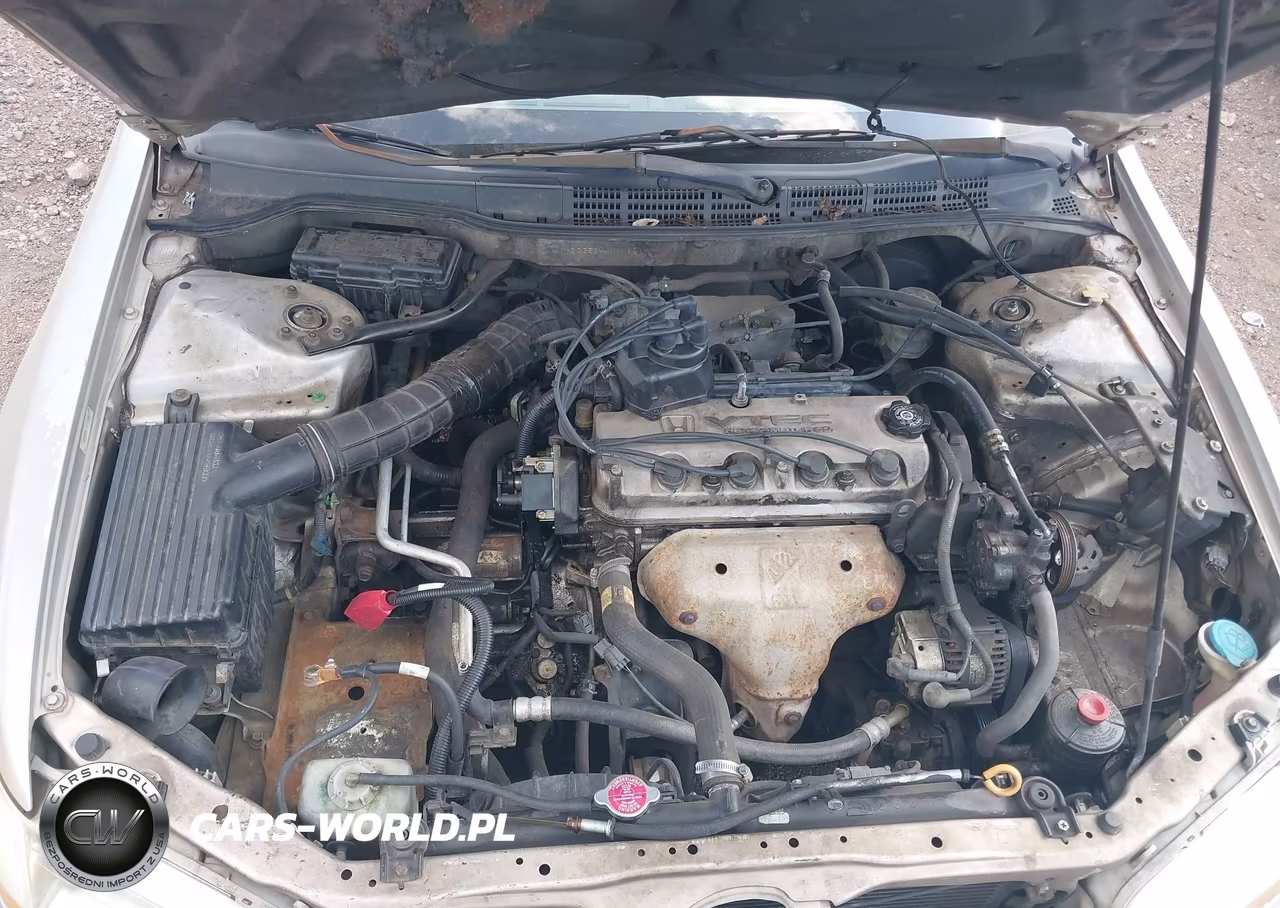 1999 Honda Accord Lx VIN:1HGCG5644XA163255 - 10