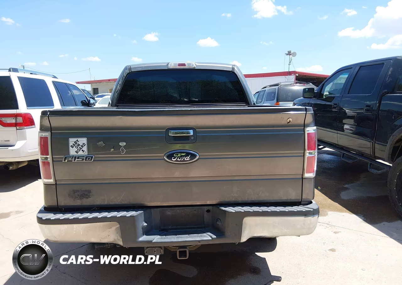 2010 Ford F-150 Fx2 Sport-Xl-Xlt VIN:1FTEW1C88AFD32858 - 16