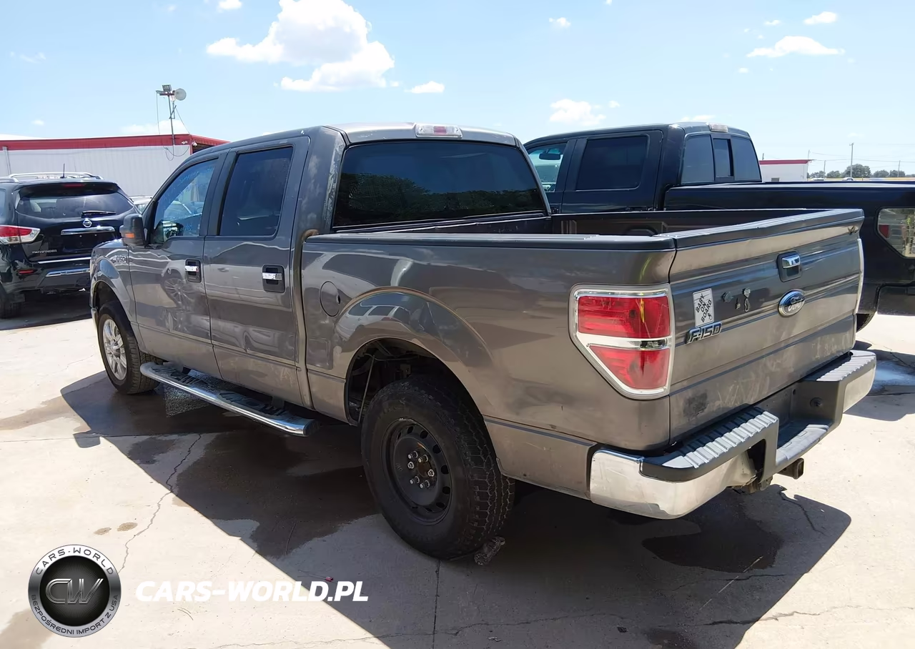 2010 Ford F-150 Fx2 Sport-Xl-Xlt VIN:1FTEW1C88AFD32858 - 3