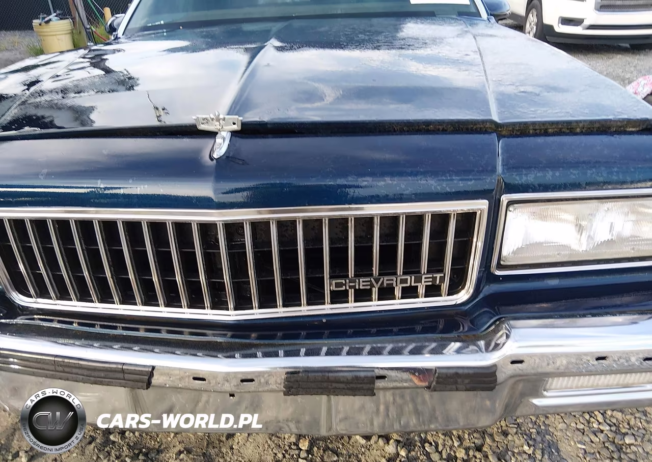 1988 Chevrolet Caprice Classic VIN:1G1BN51H1JA116226 - 12
