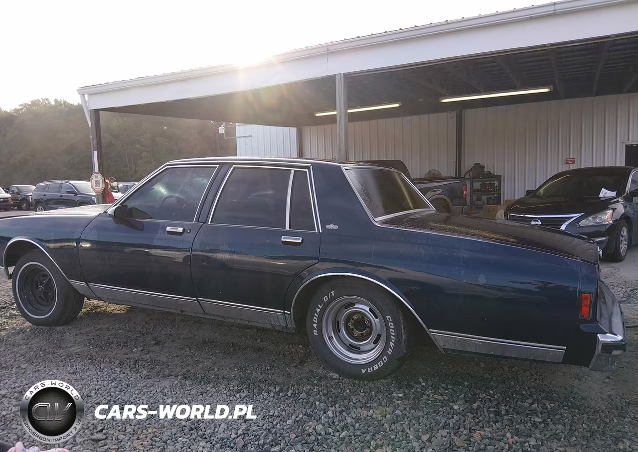 1988 Chevrolet Caprice Classic VIN:1G1BN51H1JA116226 - 3