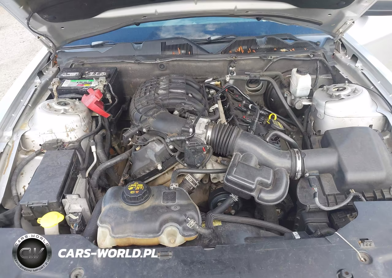 2011 Ford Mustang V6 VIN:1ZVBP8AM4B5108435 - 10