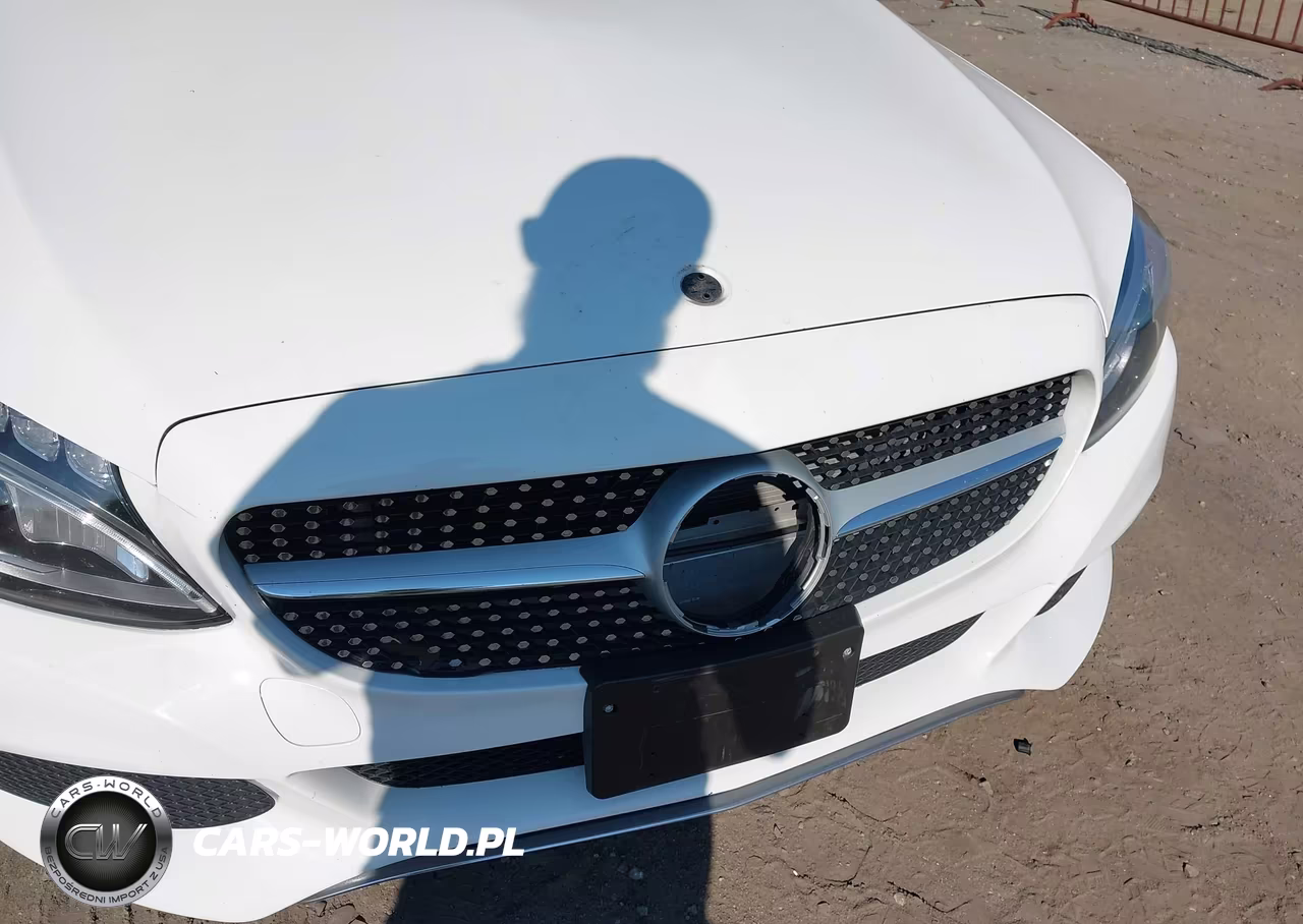2017 Mercedes-Benz C 300 4Matic VIN:55SWF4KB4HU212071 - 6