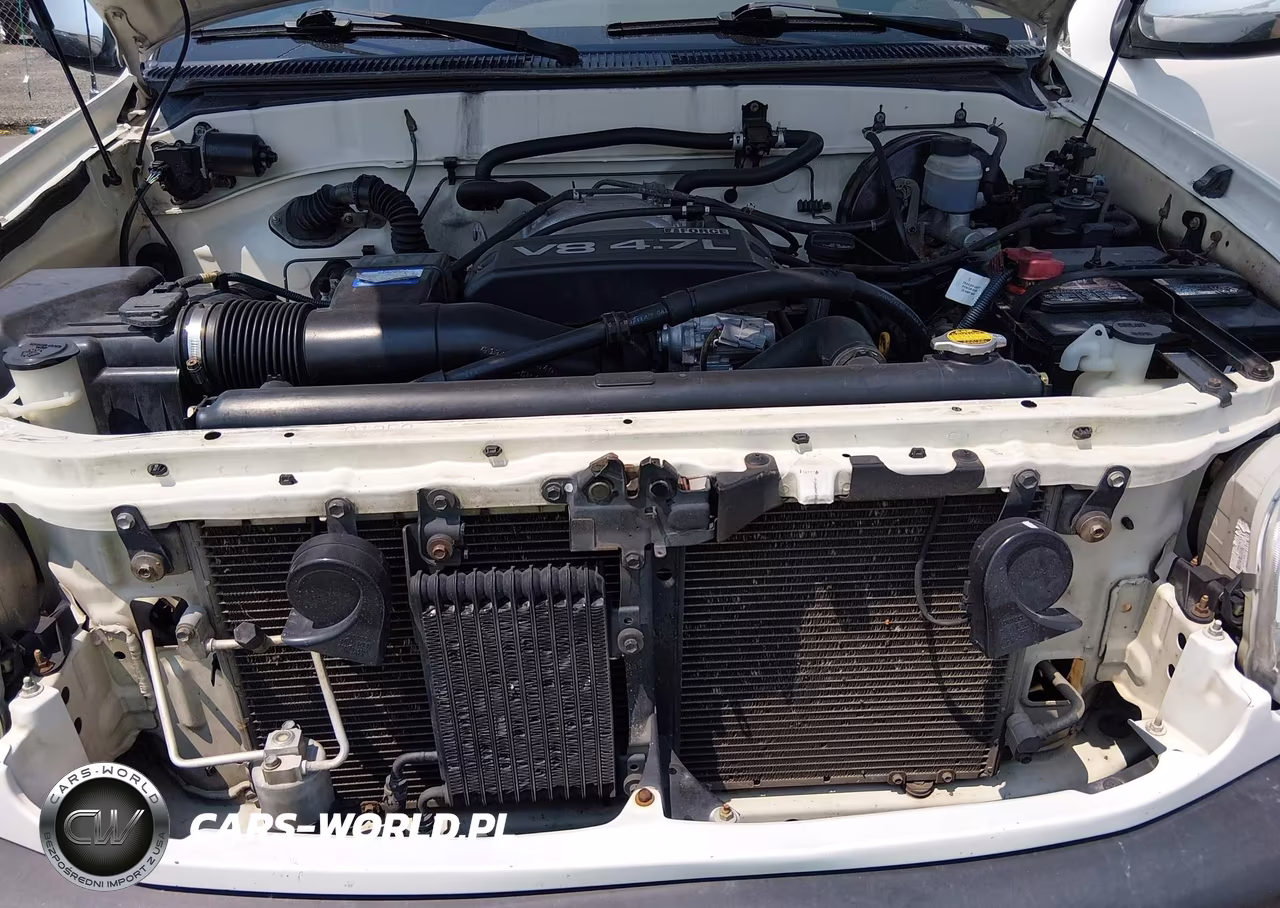 2002 Toyota Tundra Sr5 V8 VIN:5TBBT44182S256566 - 10