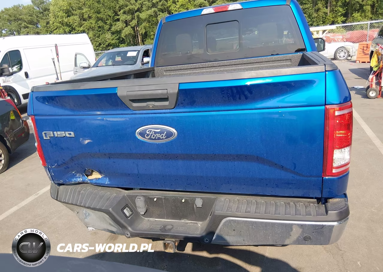 2017 Ford F-150 Xlt VIN:1FTEW1E89HFA13654 - 16
