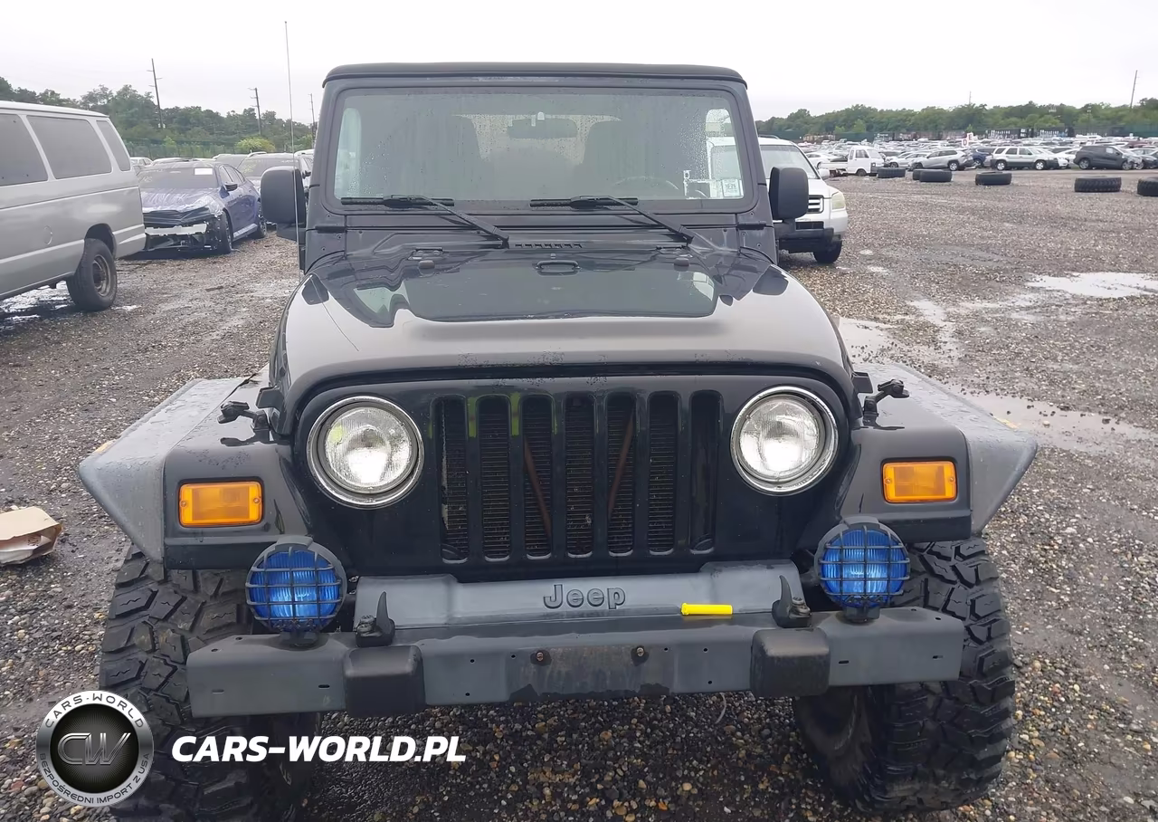 2004 Jeep Wrangler VIN:IJ4FA49S64P716380 - 12