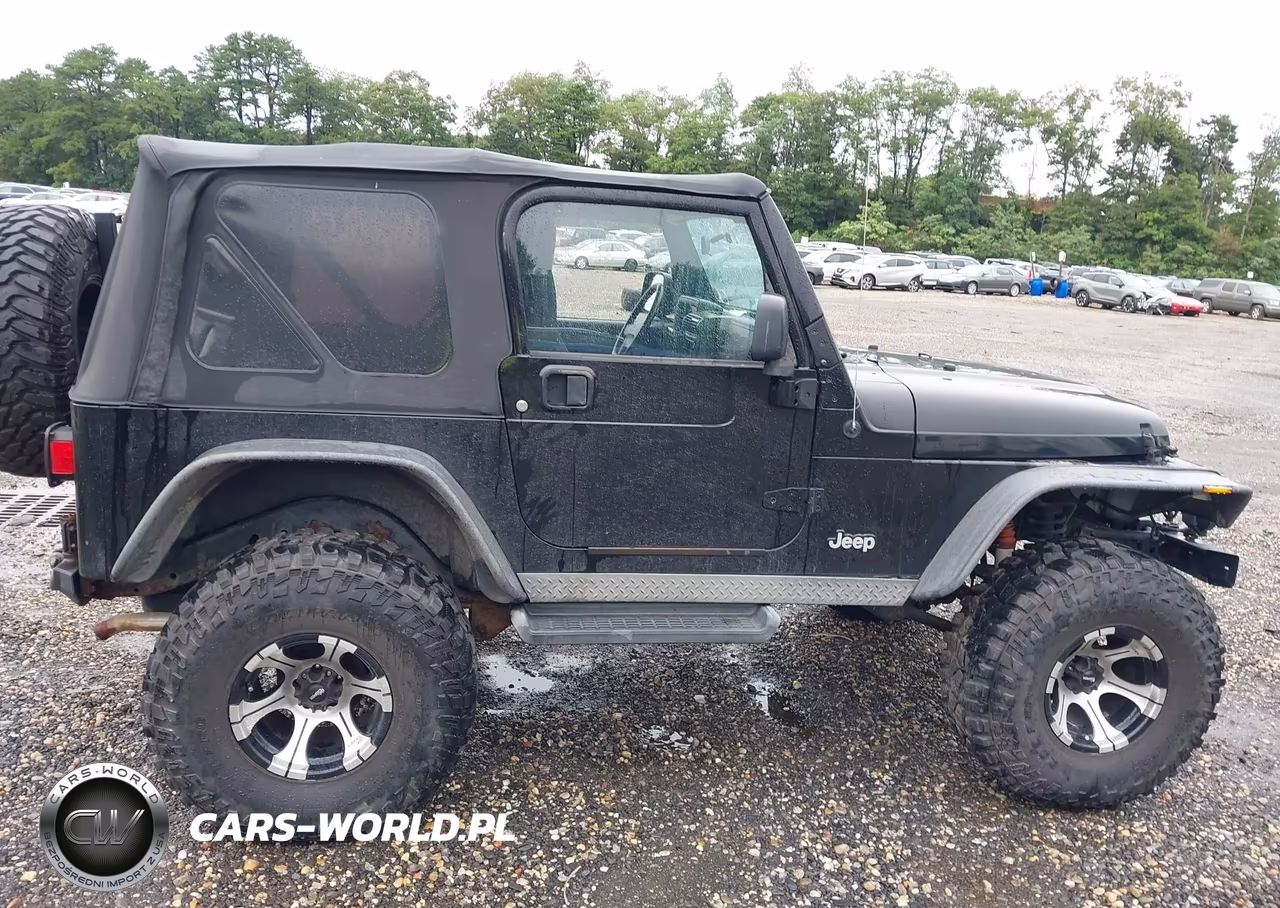 2004 Jeep Wrangler VIN:IJ4FA49S64P716380 - 13