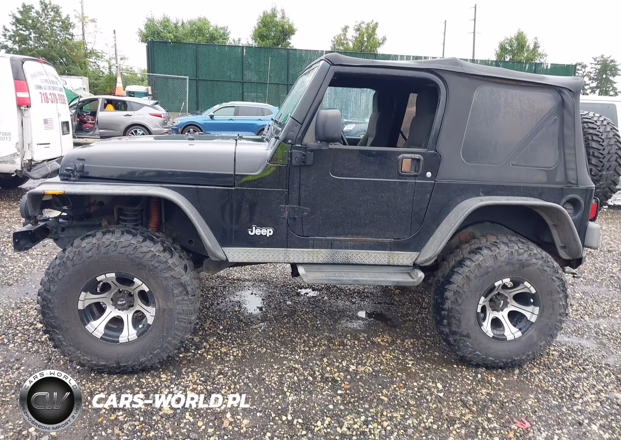 2004 Jeep Wrangler VIN:IJ4FA49S64P716380 - 14