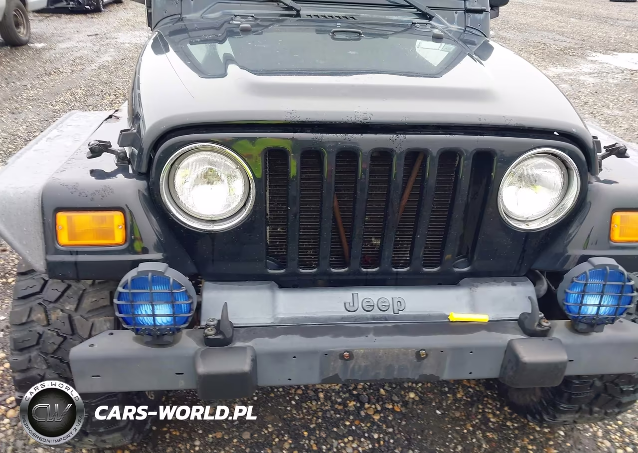 2004 Jeep Wrangler VIN:IJ4FA49S64P716380 - 6