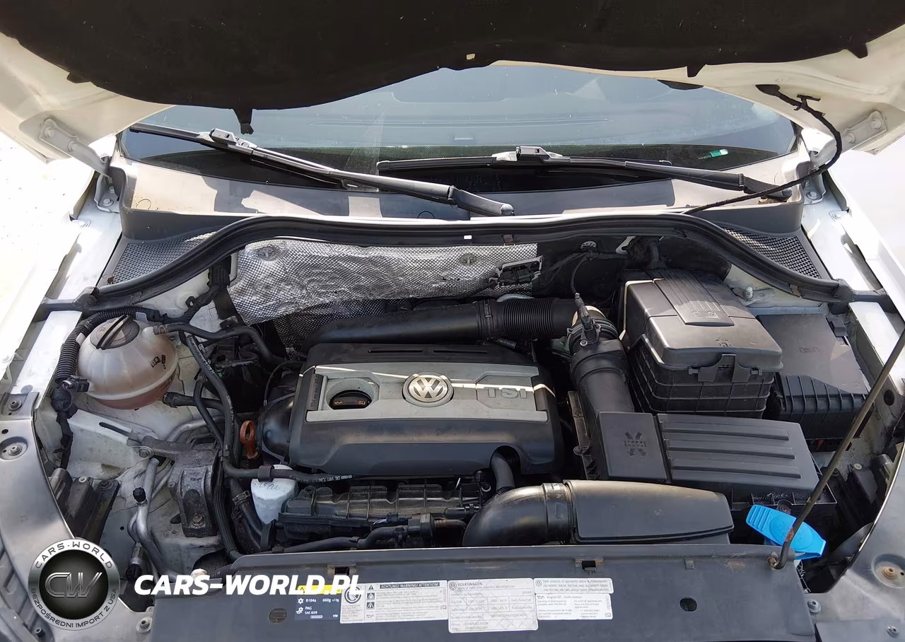 2013 Volkswagen Tiguan S VIN:WVGBV3AX2DW068614 - 10