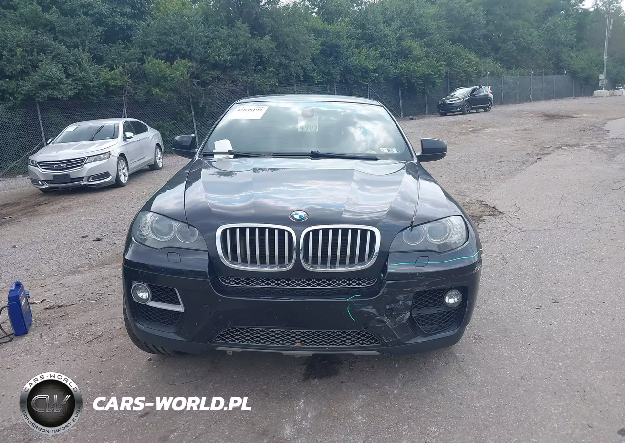 2013 BMW X6 xDrive50I VIN:5UXFG8C57DL592236 - 12