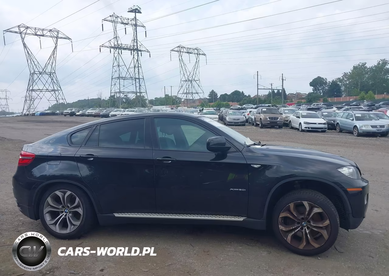 2013 BMW X6 xDrive50I VIN:5UXFG8C57DL592236 - 13