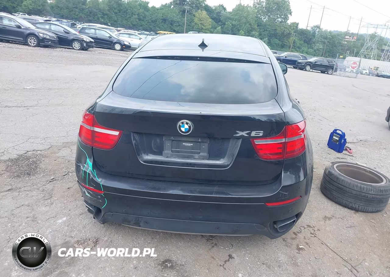 2013 BMW X6 xDrive50I VIN:5UXFG8C57DL592236 - 16