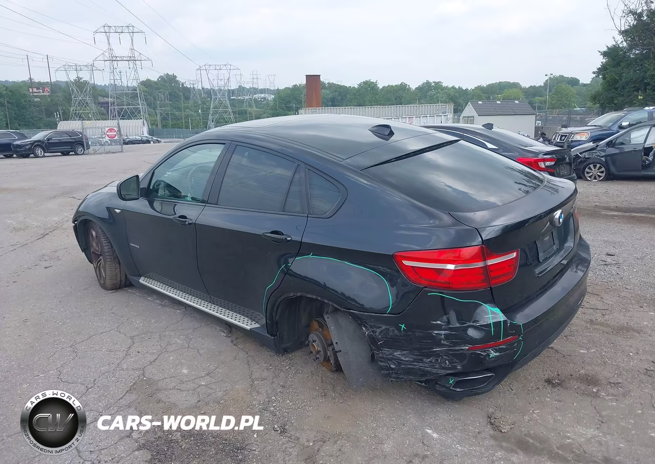 2013 BMW X6 xDrive50I VIN:5UXFG8C57DL592236 - 3