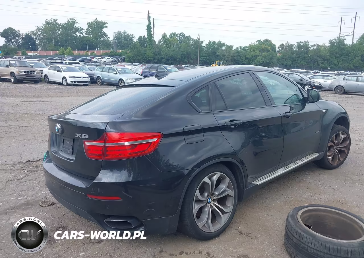 2013 BMW X6 xDrive50I VIN:5UXFG8C57DL592236 - 4