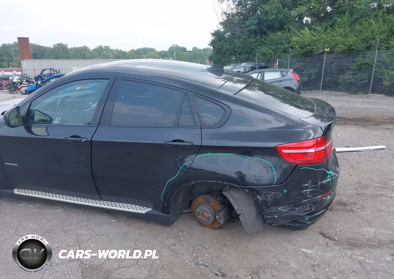 2013 BMW X6 xDrive50I VIN:5UXFG8C57DL592236 - 6