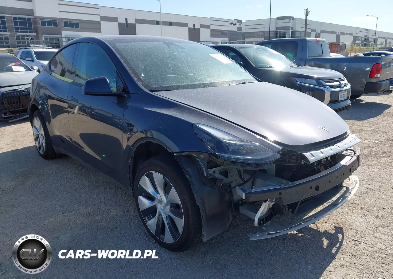 2023 Tesla Model Y Rwd VIN:7SAYGDED3PF943922 - 1