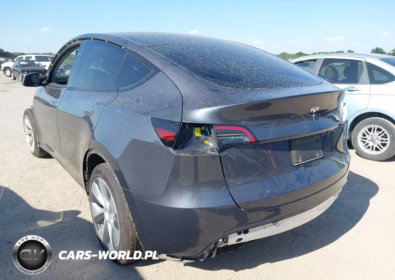 2023 Tesla Model Y Rwd VIN:7SAYGDED3PF943922 - 3