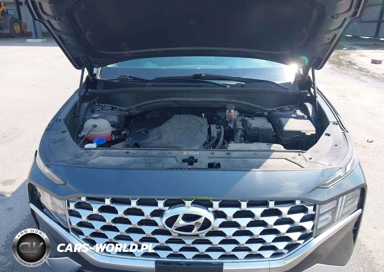 2022 Hyundai Santa Fe Sel VIN:5NMS2DAJ7NH460586 - 10
