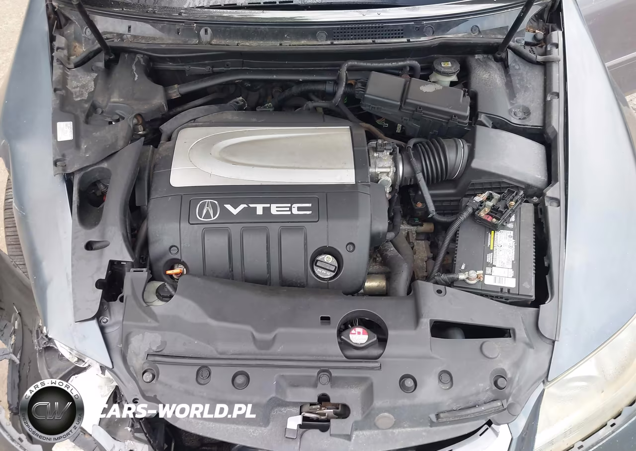2007 Acura Rl 3.5 VIN:JH4KB16657C002189 - 10