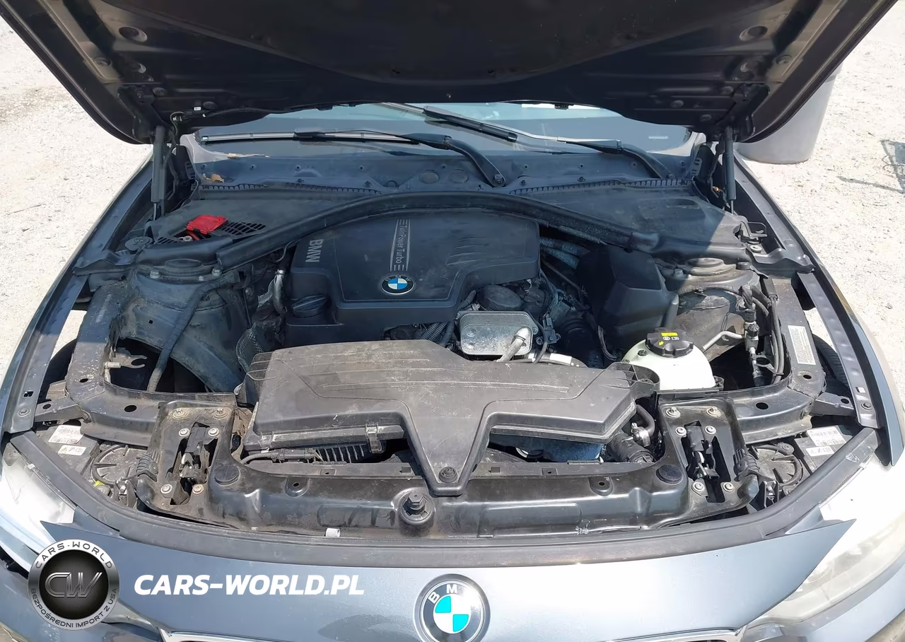 2015 BMW 428 Gran Coupe xDrive VIN:WBA4C9C50FD331602 - 10