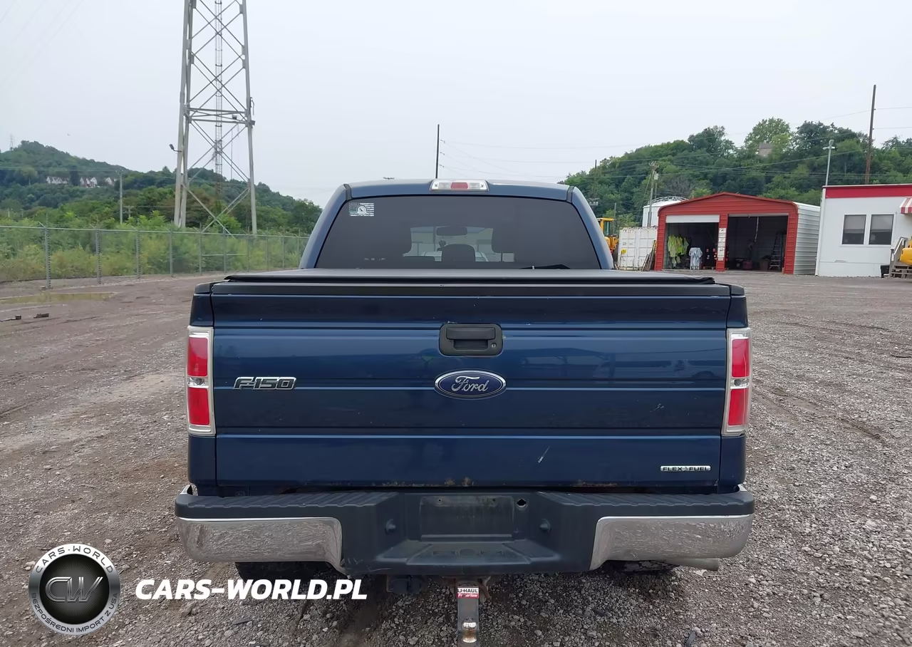 2014 Ford F-150 Xlt VIN:1FTFW1EF0EKE05220 - 16