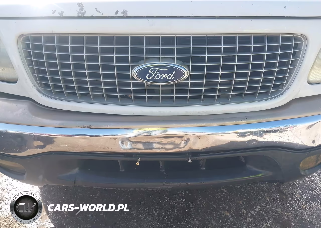 1999 Ford Expedition Eddie Bauer-Xlt VIN:1FMRU17L9XLB96719 - 6