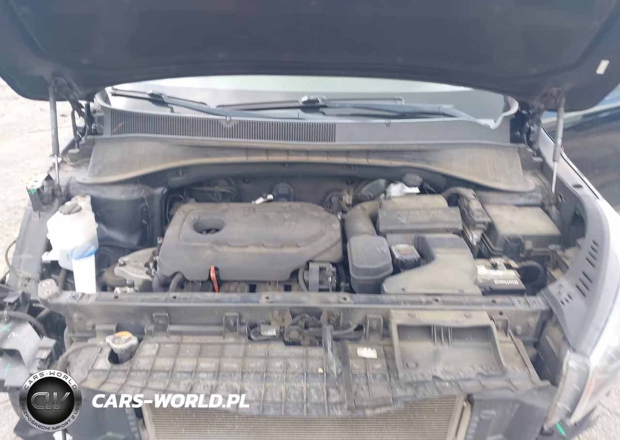 2019 Kia Sorento 2.4L L VIN:5XYPG4A31KG585792 - 10