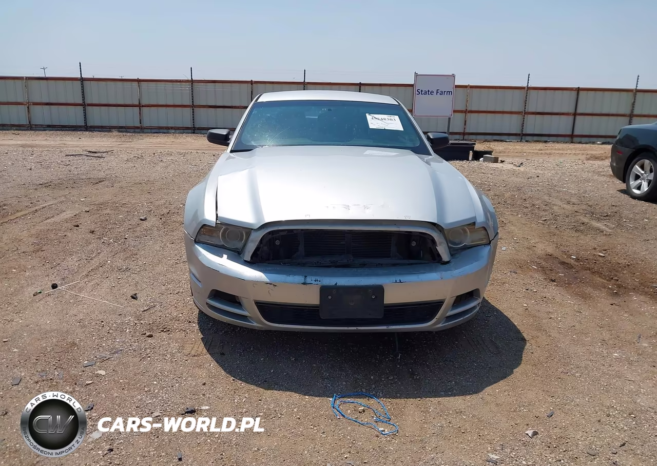 2013 Ford Mustang V6 VIN:1ZVBP8AM9D5260312 - 13