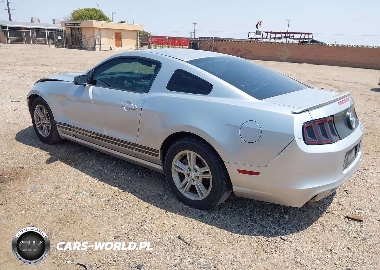 2013 Ford Mustang V6 VIN:1ZVBP8AM9D5260312 - 3