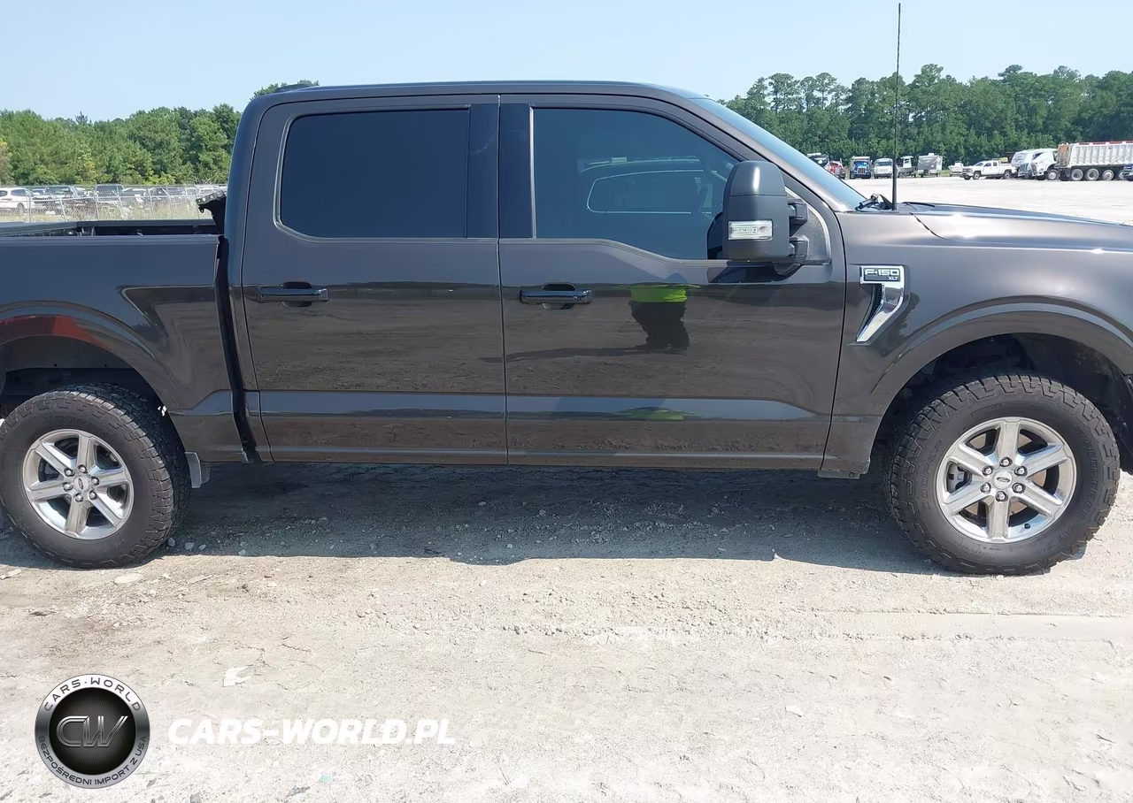 2024 Ford F-150 Xlt VIN:1FTFW3L51RFA40535 - 13