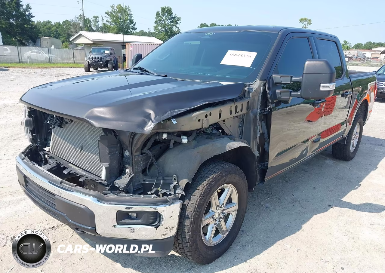 2024 Ford F-150 Xlt VIN:1FTFW3L51RFA40535 - 2