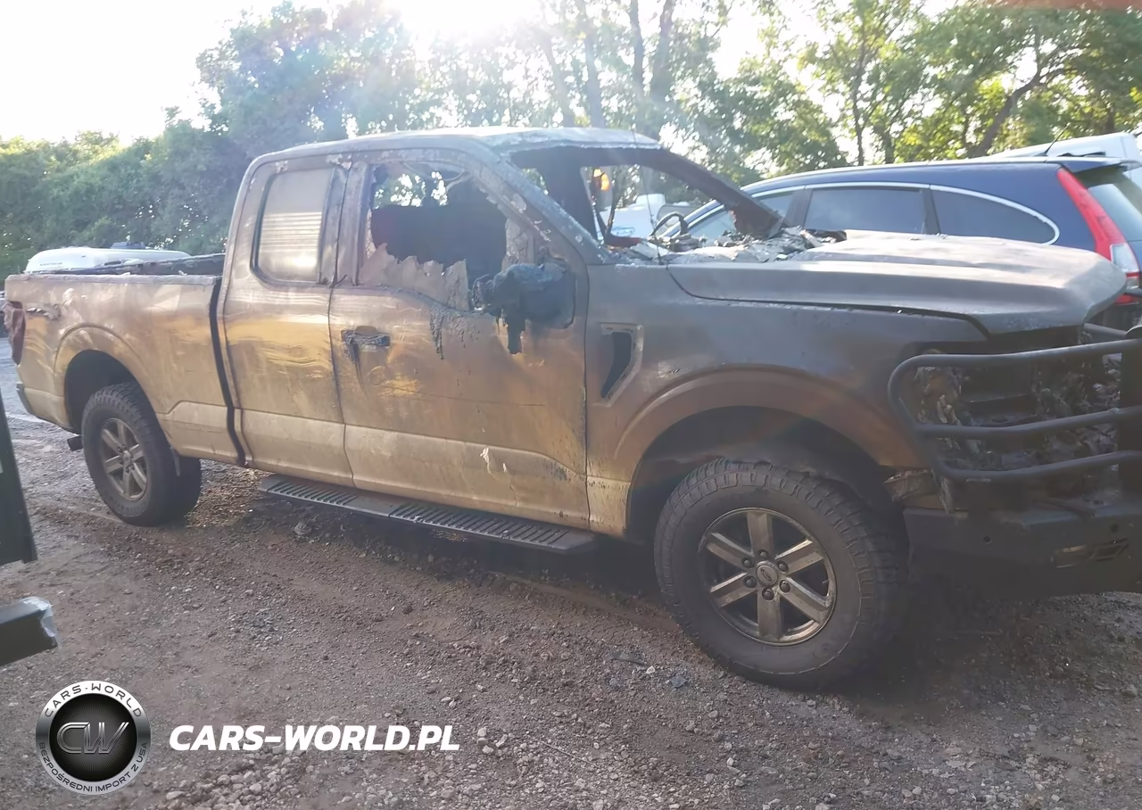 2021 Ford F-150 Xl VIN:1FTFX1E55MFA09540 - 12