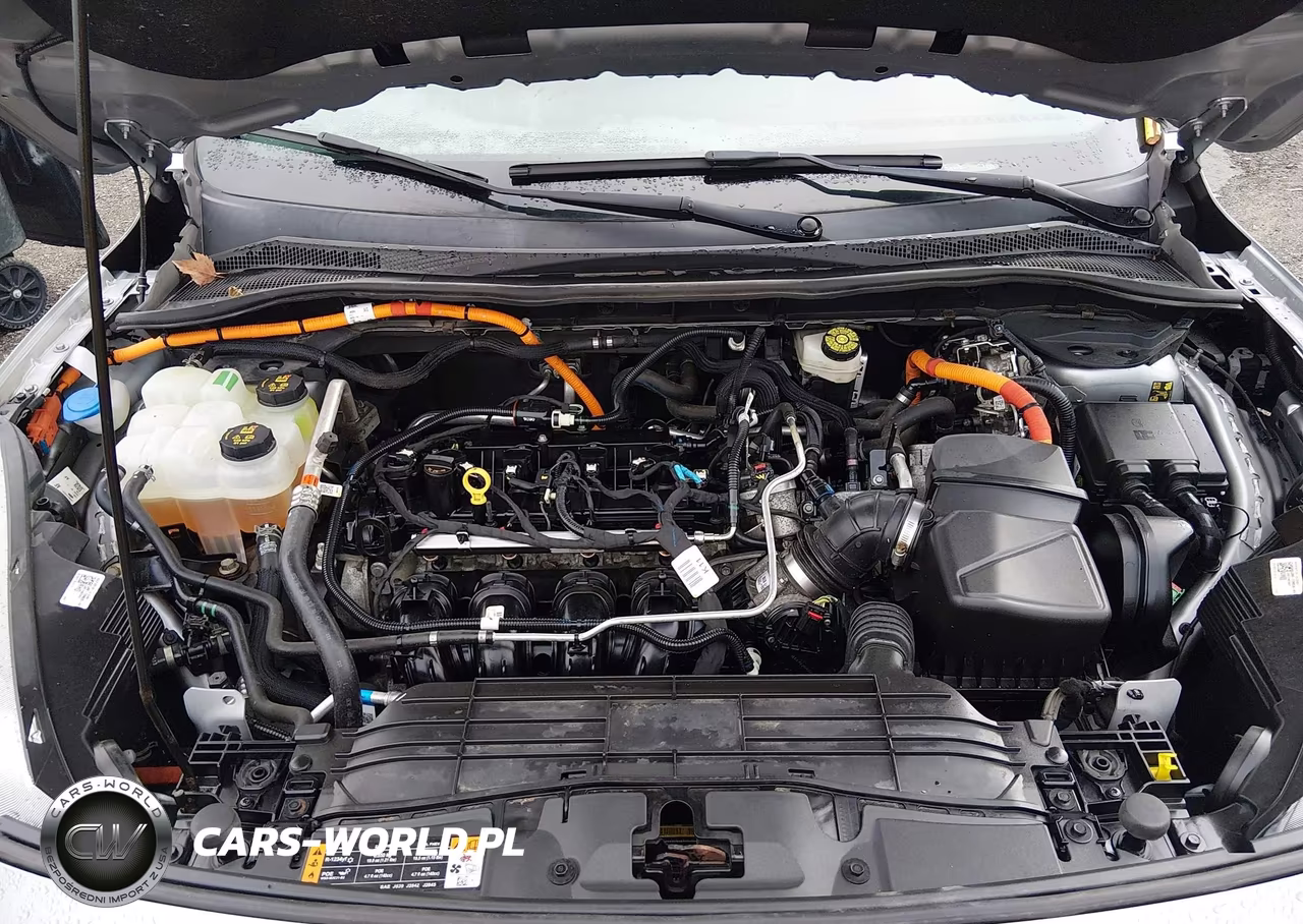 2021 Ford Escape Se Hybrid VIN:1FMCU9BZ9MUA61732 - 10