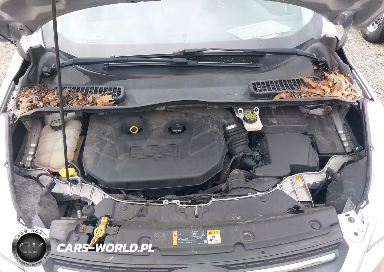 2013 Ford Escape Se VIN:1FMCU0G96DUC11560 - 10