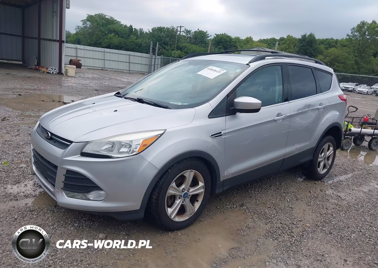 2013 Ford Escape Se VIN:1FMCU0G96DUC11560 - 2