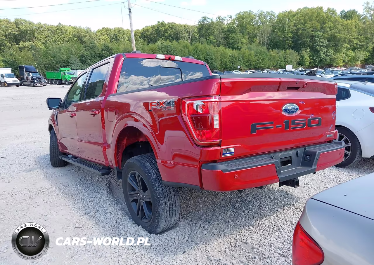 2022 Ford F-150 Xlt VIN:1FTEW1EP6NKD91506 - 3