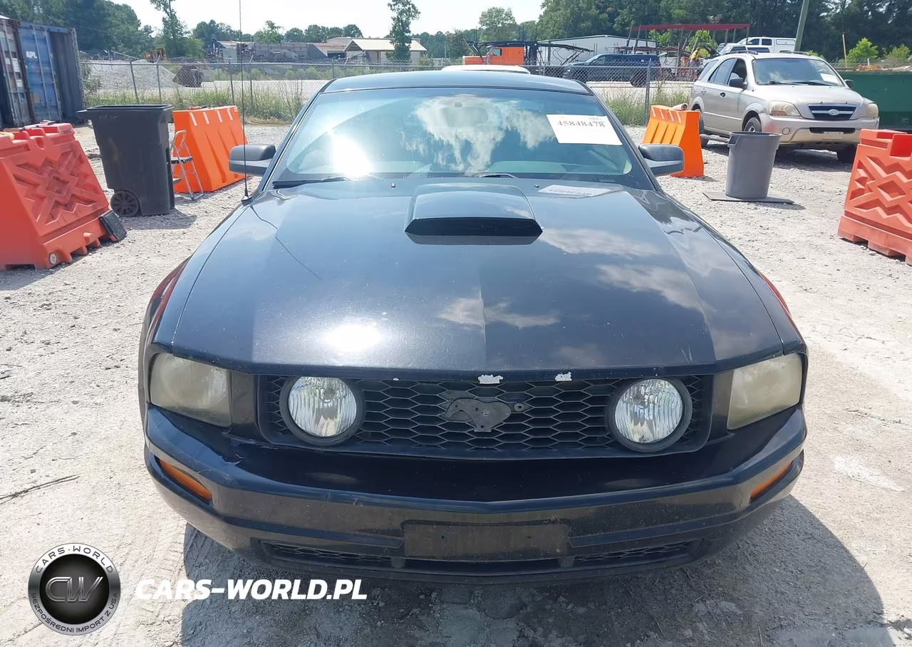 2007 Ford Mustang Gt Deluxe-Gt Premium VIN:1ZVHT82H775247912 - 12