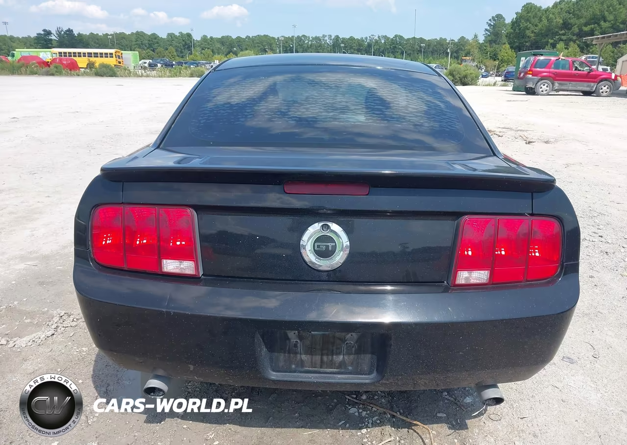2007 Ford Mustang Gt Deluxe-Gt Premium VIN:1ZVHT82H775247912 - 16