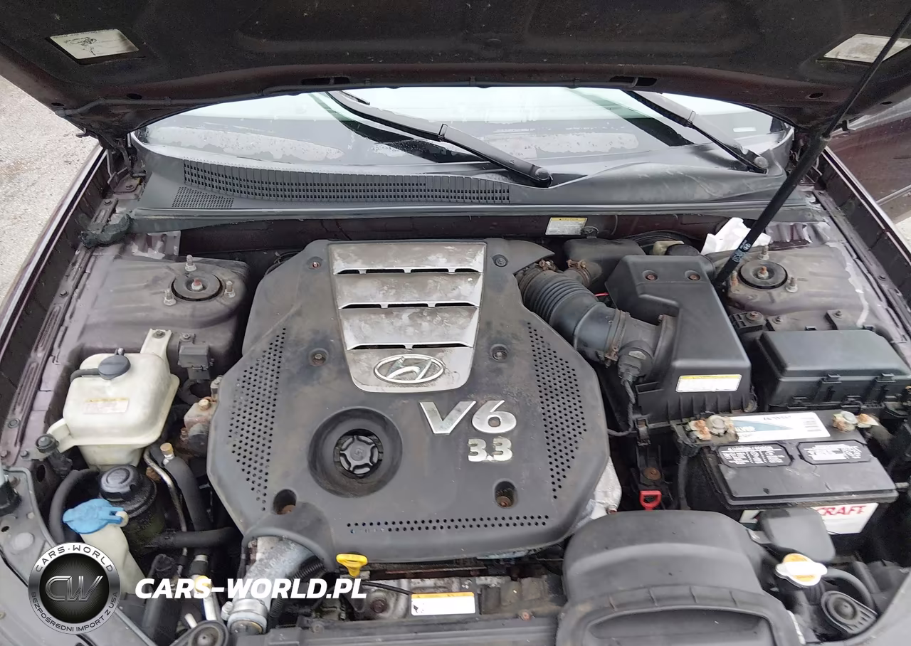 2006 Hyundai Sonata Gls V6-Lx V6 VIN:5NPEU46F76H020318 - 10