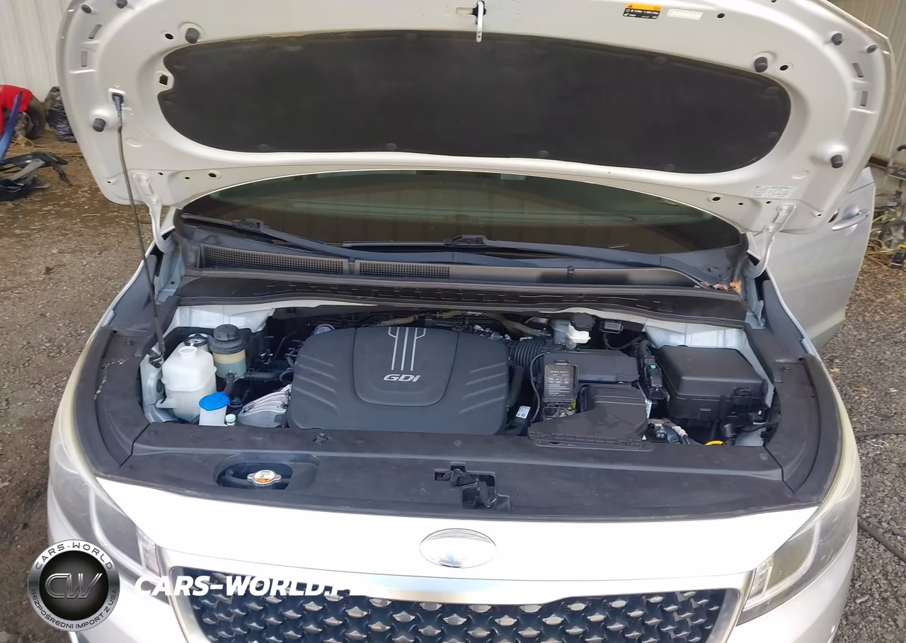 2017 Kia Sedona Ex VIN:KNDMC5C16H6263189 - 10
