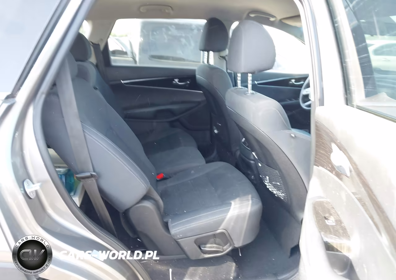 2019 Kia Sorento L VIN:5XYPG4A3XKG552502 - 8