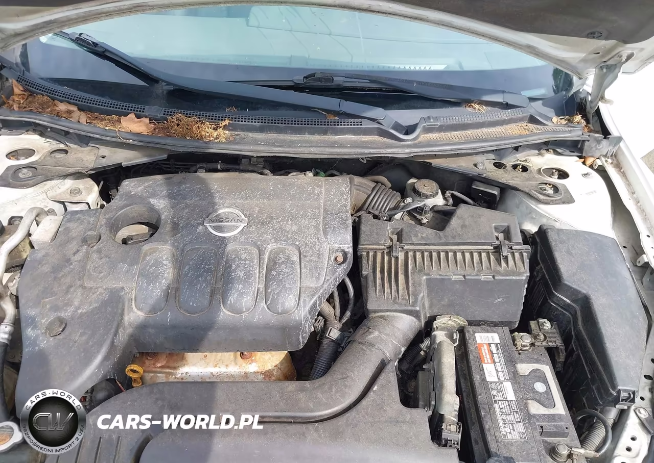 2009 Nissan Altima 2.5 VIN:1N4AL21E39N509085 - 10