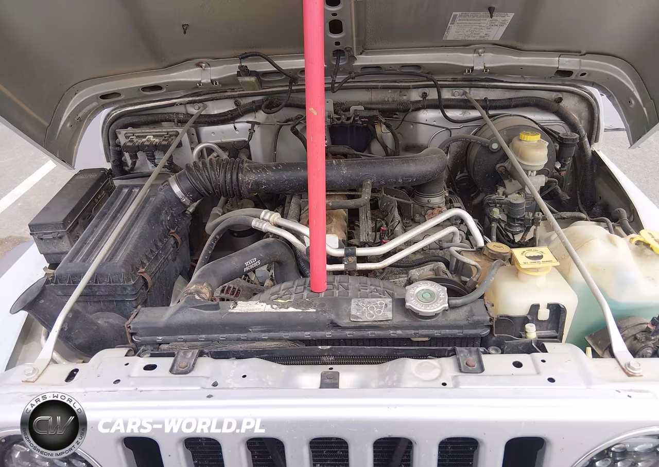 2004 Jeep Wrangler X VIN:1J4FA39S44P749176 - 10