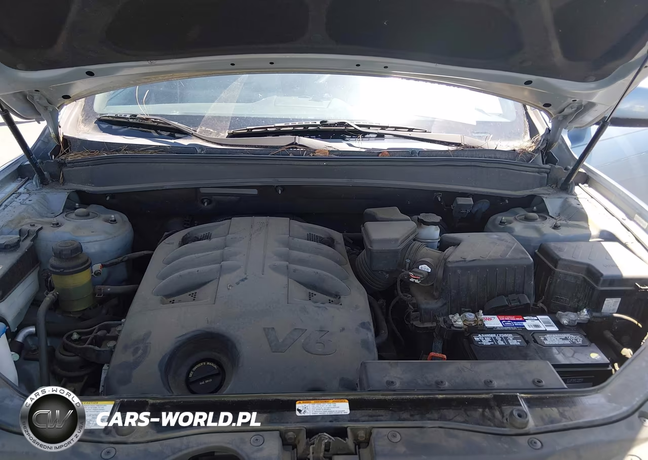 2009 Hyundai Santa Fe Se VIN:5NMSH13E89H320923 - 10