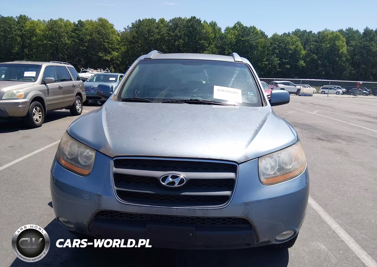 2009 Hyundai Santa Fe Se VIN:5NMSH13E89H320923 - 6