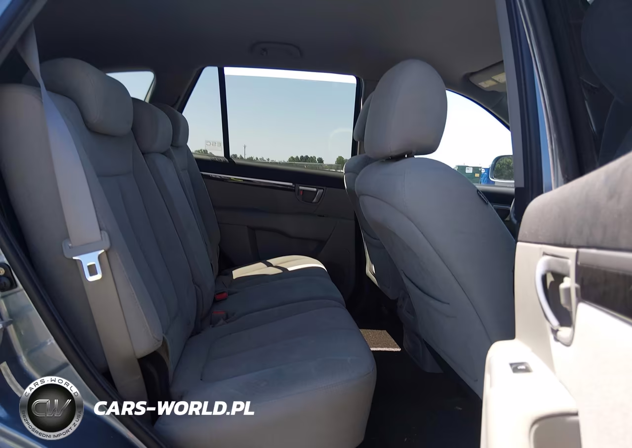 2009 Hyundai Santa Fe Se VIN:5NMSH13E89H320923 - 8
