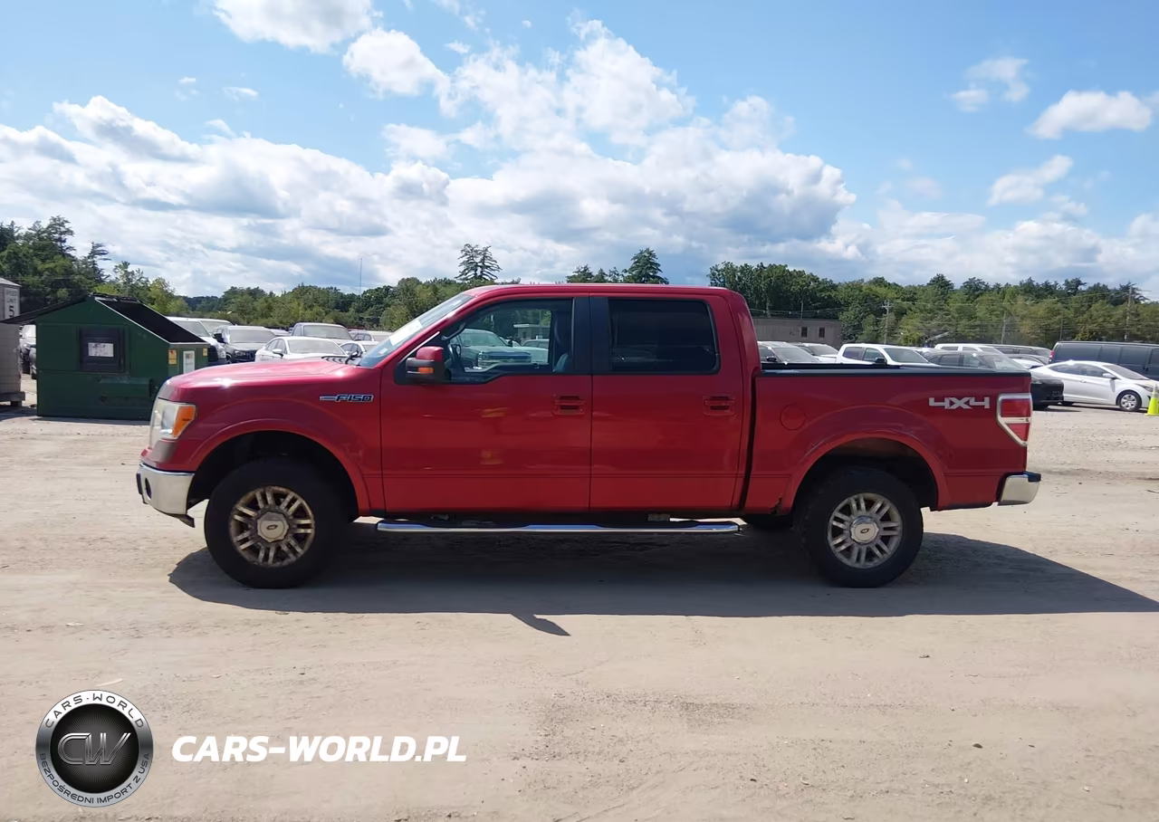 2009 Ford F-150 Fx4-King Ranch-Lariat-Platinum-Xl-Xlt VIN:1FTPW14V69FB01806 - 14