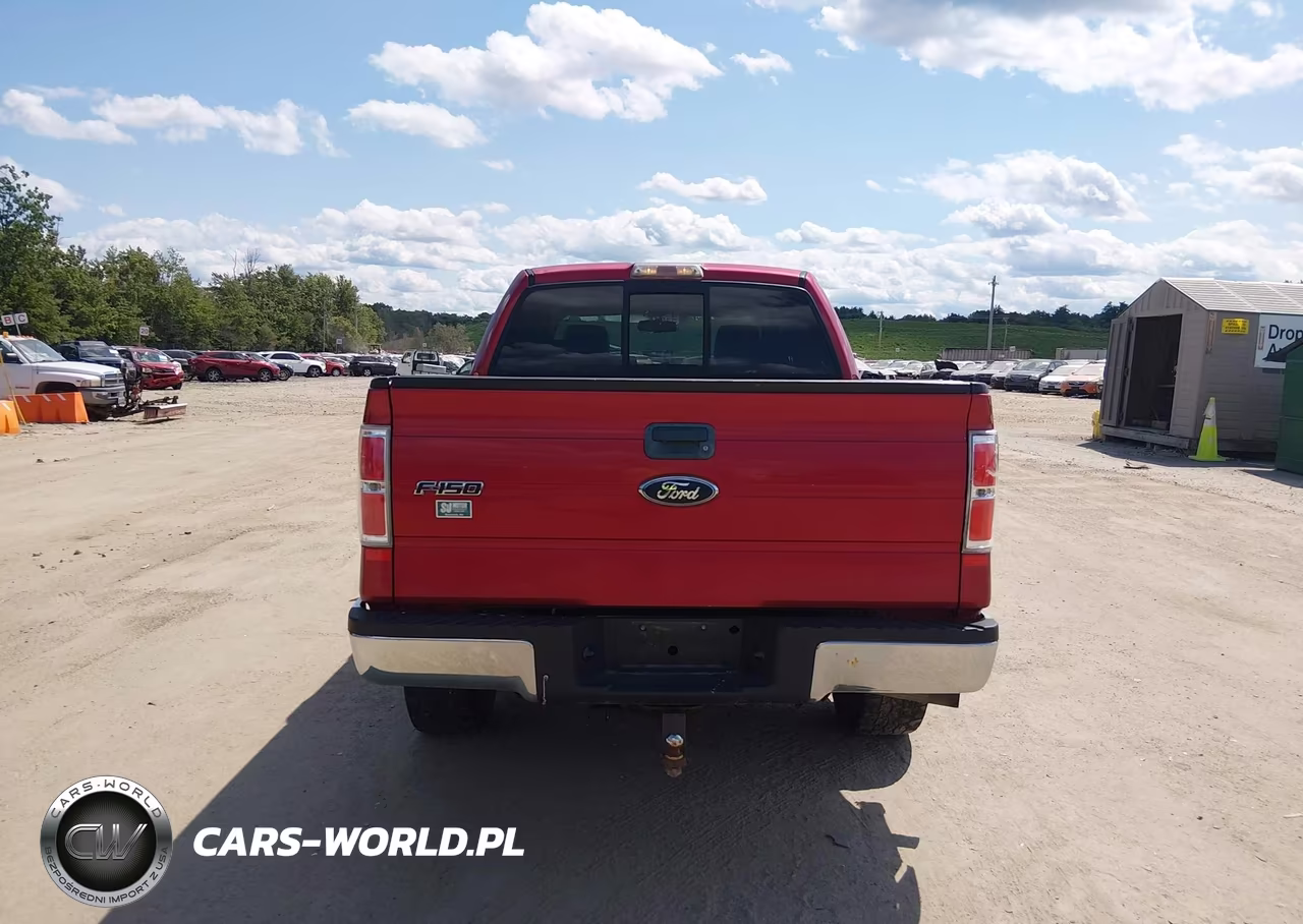 2009 Ford F-150 Fx4-King Ranch-Lariat-Platinum-Xl-Xlt VIN:1FTPW14V69FB01806 - 16